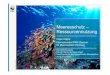 Meeresschutz – Ressourcennutzung...Meeresschutz: Mehr und besser! Heike Vesper | WWF Deutschland 24. Oktober 2011 Die Bedrohung Wir verschwenden und zerstören die Chancen unserer