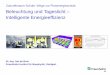 Zukunftsraum Schule: Wege zur Plusenergieschule ... · Beleuchtung und Tageslicht – Intelligente Energieeffizienz Dr.-Ing. Jan de Boer Fraunhofer-Institut für Bauphysik, Stuttgart