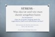 STRESS - Was das ist und wie man damit umgehen durch Vorw£¼rfe oder Panikreaktionen den Stress noch
