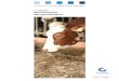 Leitfaden Servicepaket Milchproduktion Milch.pdf · QS – das ist Qualitätssicherung vom Landwirt bis zur Ladentheke. Der Herstellungsprozess ist durchgängig dokumentiert und unabhängig