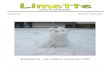 Limes-Schul-Gazette · Endlich bringen die hellen und sonnigen Frühlings-strahlen wieder neuen Schwung in unseren Alltag und sorgen gewiss für ein Ende der Grippewelle, die uns