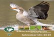 Wildtier-Informationssystem - Jagdverband · 6 Wildtier-Informationssystem der Länder Deutschlands – Jahresbericht 2013 sowohl im Frühjahr als auch im Herbst gezählt wurde. Der