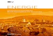 ENERGIE - Aargau€¦ · zielführend ist. Ist der Gemeindeberatende und der Energiestadtberatende dieselbe Person, reduziert sich der Förderbeitrag des Kantons Aargau um Fr. 300.–