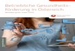 Betriebliche Gesundheits- förderung in Österreich guter Praxis_2020...Betriebliche Gesundheitsförderung in Österreich – Beispiele guter Praxis 2020 wer-den Betriebe vor den Vorhang