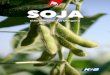SOJA - K+S Minerals and Agriculture GmbH · Soja – Eiweißpflanze und wichtiges Futtermittel Gut zu wissen Die Sojabohne ist eine Leguminose, die ursprünglich aus den Tropen kommt