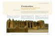 Timbuktu - Islamic Tourism 35/German/46-54.pdf · 2010. 10. 3. · Timbuktu: Bezaubernde Stadt und vergessene Kultur Islamischer Tourismus– Ausgabe 35 – Mai-Juni / 2008Für weitere