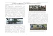 Berichte Pflanzaktion im Raketengarten 07.pdf · Panzerdivision verlegten im Rahmen des 1. Einsatzkontingentes KFOR in den Einsatz. Im Jahre 2001 nahm die Division wiederum an der