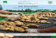 Kartoffelkompendium | Die Kartoffel - Unterrichtsmaterial für ......Die Kartoffel Unterrichtsmaterial für die Klassen 3–10 · Biologie der Pflanze · Weg vom Acker zum Teller ·