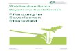 Pflanzung im Bayerischen Staatswald · 2014. 9. 4. · Planung, der Bestellung, dem schriftlichen Arbeitsauftrag über die tatsächliche Pflanzung bis zum möglichen Qualitätscheck,