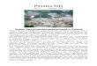 Panama Info - 2017. 2. 3.¢  Panama Info Nr. 94 Februar 2009 Riesige £“berschwemmungskatastrophe in Panama