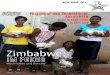 Zimbabwearchiv.zimbabwe-netzwerk.de/Rundbrief/ZIF60.pdf · 2016. 9. 14. · 2013 in Zimbabwe1, zeigte Brian Raftop-oulos verschiedene Wahlplakate von ZANU(PF) und MDC-T aus den Jah-ren