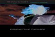 Individual Cloud Computing excellence in consulting exccon GmbH ¢â‚¬¢ Tal 11 ¢â‚¬¢ 80331 M£¼nchen Telefon: