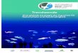 Trendwende...4 Trendwende: Eine globale Strategie der Aquarien für Naturschutz und NachhaltigleitÖffentliche Aquarien, die Aquarienindustrie und nachhaltige Verfahren Die Beschaffung