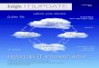 IT UPDA TE - Insight DE · Cloud Computing bezeichnen. Oder hatten ... Hybride Wolken – ... liefert – von Rechenzentren der Kunden über die Public Cloud bis hin zu gehosteten