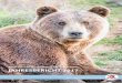 VIER PFOTEN – Stiftung für Tierschutz JAHRESBERICHT 2017...In der Ukraine und in Vietnam konnten wir zudem neue Bärenschutzzentren eröffnen, die Platz für 52 weitere Tiere bieten