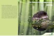 Pro Natura — für mehr Natur, überall! · Kampagne ist als BAFU-/BLW-Beraterprojekt gesichert. Im Rah - men des Gartenjahrs 2016 organisierte Pro Natura die Exkursi - onsreihe