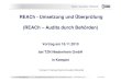REACh - Umsetzung und Überprüfung (REACh – Audits durch … · 2015. 1. 16. · SVHC -Stoffe: Kandidaten für Anhang XIV 16 Benzyl butyl phthalate 85-68-7 201-622-7 Austria CMR