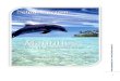 artemis.ch artemis www. Delphinseminar 2015.pdf · Botschaft der Delphine! Genau das werden wir haben, auf der traumhaften Insel Mauritius, ... aufgabe! / www. artemis-artemis.ch