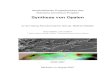 Synthese von Opalen - GKS Müllheim · Einleitung Seite 7 – 46 Synthese von Opalen Stefan Müller, Otto Schäfer Seite 47 – 78 Berechnung von Modellen der 32 Kristallklassen und