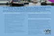 In Niederlande Schnelles und sicheres Durchfahren von ... · Wasserbehörde „Rijkswaterstaat“ im Sommer bei vielen Schleusen so genannte Schleusenlotsen ein. Sie helfen den Wassersportlern