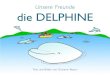 Unsere Freunde die DELPHINE · 2015. 8. 11. · Giovanni Bearzi hat seit 1986 die Delphine im Mittelmeer erforscht, besonders im Adriatischen und ionischen Meer. er gründete und