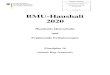 BMU-Haushalt 2020 - Hubertus Zdebel · 2019. 8. 15. · 3.2 Schwerpunkte im Umweltschutz - Forschung, Untersuchungen und Ähnliches: 67,283 Mio. € (Kapitel 1601 Titel 544 01) Hinweis: