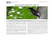 GNVU Jahresbericht 2011-4 1€¦ · Gesellschaft für Natur- und Vogelschutz Uster GNVU, Jahresbericht 2011 4 Trotz Futterstress hatten die Vögel genügend Zeit für ausgeprägte
