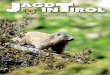 Zeitschrift des Tiroler Jägerverbandes · Rehkitzrettung mit der Drohne Flächen in der Leutasch getestet. Um die Rehkitze in den Feldern zu finden, wer-den diese in den frühen