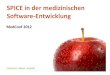 SPICE in der medizinischen Software-Entwicklung · Organizational Life Cycle Processes Primary Life Cycle Processes Supporting Life Cycle Processes Software Maintenance Process Group