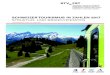 Schweizer touriSmuS in zahlen 2017 struktur- und branchendaten … · 2020. 1. 26. · touriSmuS – ein bedeutender wirtSchaftSzweiG Der Tourismus spielt in der Schweizer Wirtschaft