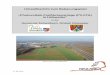 Umweltbericht zum Bebauungsplan —Photovoltaik ... · Die überbaubare Grundstücksfläche, innerhalb derer die Photovoltaik-Module zu errichten sind, wird mittels Baugrenze festgelegt