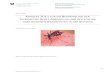 New Konzept 2011 für die Bekämpfung der Tigermücke Aedes … · 2 days ago · - Risiken o Ausbruch einer Epidemie, z.B. Chikungunya-, Dengue- oder West-Nile-Fieber o Indirekte