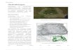 Siebenbürgen - Reussenreussen.info/downloads/Siebenbuergen-Wikipedia.pdf · Von den südlicheren (Walachei) und östlicheren (Moldau und Bukowina) Landesteilen wird Siebenbürgen