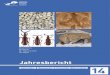 Jahresbericht Sammeln Bewahren Forschen Vermitteln 14...Diversity of selected groups of insects in Eo-cene - Miocene aquatic ecosystems of Europe: analysis of systematics and paleobiogeographical
