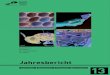 Jahresbericht Sammeln Bewahren Forschen Vermitteln 13...Diversity of selected : groups of insects in Eo-cene – Miocene aquatic ecosystems of Europe: analysis of systematics and paleobiogeographical
