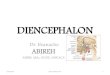 Diencephalonabireh.com/wp-content/uploads/2019/05/Diencephalon-lecture.pdf · Diencephalon 3/4/2019 4 . Thalamus Large mass of grey matter Lies lateral to the third ventricle Two