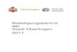 Beteiligungsbericht der Stadt Überlingen 2017 · 2018. 10. 29. · Hanne Gronbach, Beteiligungsverwaltung Überlingen, im Oktober 2018 Stadt Überlingen Kämmerei und Controlling