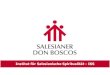 Institut für Salesianische Spiritualität - ISS€¦ · Praxisbeispiele aus dem Arbeitsjahr des ISS •Exerzitien für Mitbrüder und Mitglieder der Don-Bosco-Familie •Besinnungstage