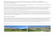 Bericht von der Ruta de Reconquista und der ursprüngliche …h-jg.de/2016-RutaDeReconquista.pdf · Ruta de Reconquista und Camino Primitivo - dem ursprünglichen Jakobsweg 430 Wege-Kilometer