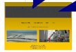 1 11th FR - Title page Ch Photo2€¦ · 懸浮鐵路也即將開工建設；三座橫跨杭州灣的跨海大橋也正在加緊建設中。 所有這些工程預期在2010 年上海世博會前完工，並投入使用。屆時“十一
