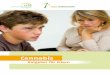 Cannabis - eingliederungshilfe.niedersachsen.de · 6 7 Konsumformen l Inhalieren des Rauches von Zigaretten (Joints, Tüten, Spliffs etc.), Pfeifen und Wasserpfeifen (Bong, Shishas)