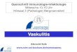 Vaskulitis - Ruhr University Bochum€¦ · Folge der c-ANCA Vaskulitis ist die Bildung von GRANULOMEN in der Lunge . Bochum 26.06.2013 Organisation der Granulome in der Lunge von