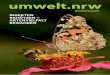 umwelt.nrw – Insekten schützen – Artenvielfalt bewahren · stellvertretend für die ca. 350 Wild bienenarten in NRW, denen aufgrund ihrer großen Bestäubungsleistung auch eine