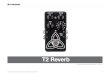 T2 Reverb - Music Tribe · tarristen wie Paul Gilbert, Guthrie Govan, John Petrucci oder Steve Vai Ihr Pedal „virtuell“ neu verkabeln und die Beziehung zwischen Reglern und internen