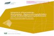 Impact Invesng: Konzept, Spannungsfelder und Zukunsperspekven€¦ · Abb. 4: Zielbereiche von Impact Investing in Deutschland aus Sicht von Privatpersonen ..... 10 Abb. 5: Motive