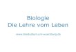 Biologie Die Lehre vom Leben - uni-wuerzburg.de€¦ · Biologie – Universität Würzburg Themenvielfalt Organismische Biologie Molekulare Biologie Pflanzen und Tiere Freiheit für
