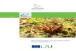 Managementplan für das FFH-Gebiet Leue - Wilder See€¦ · Impressum Managementplanung Natura 2000 im Land Brandenburg Managementplan für das FFH-Gebiet „Leue - Wilder See“