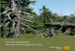 2011 - 2020 Nationalparkplan für den Nationalpark Harz€¦ · 1.3.3 Geologie und Böden 20 1.3.4 Klima 21 1.3.5 Wasserhaushalt und Gewässer 21 1.3.6 Aktuelle Vegetation 22 1.3.7