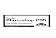 Adobe Photoshop CS5 B Photoshop CS5 - was ist wichtig f£¼r Umsteiger?. 1061 C Photoshop erweitern 1067