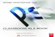 Adobe® Photoshop® CS5  - *ISBN 978-3 ... · Adobe PhotoshoP cs5 clAssroom in A book 7 INHALT EINFÜHRuNG Über dieses Buch . . . . . . . . . . . . . 